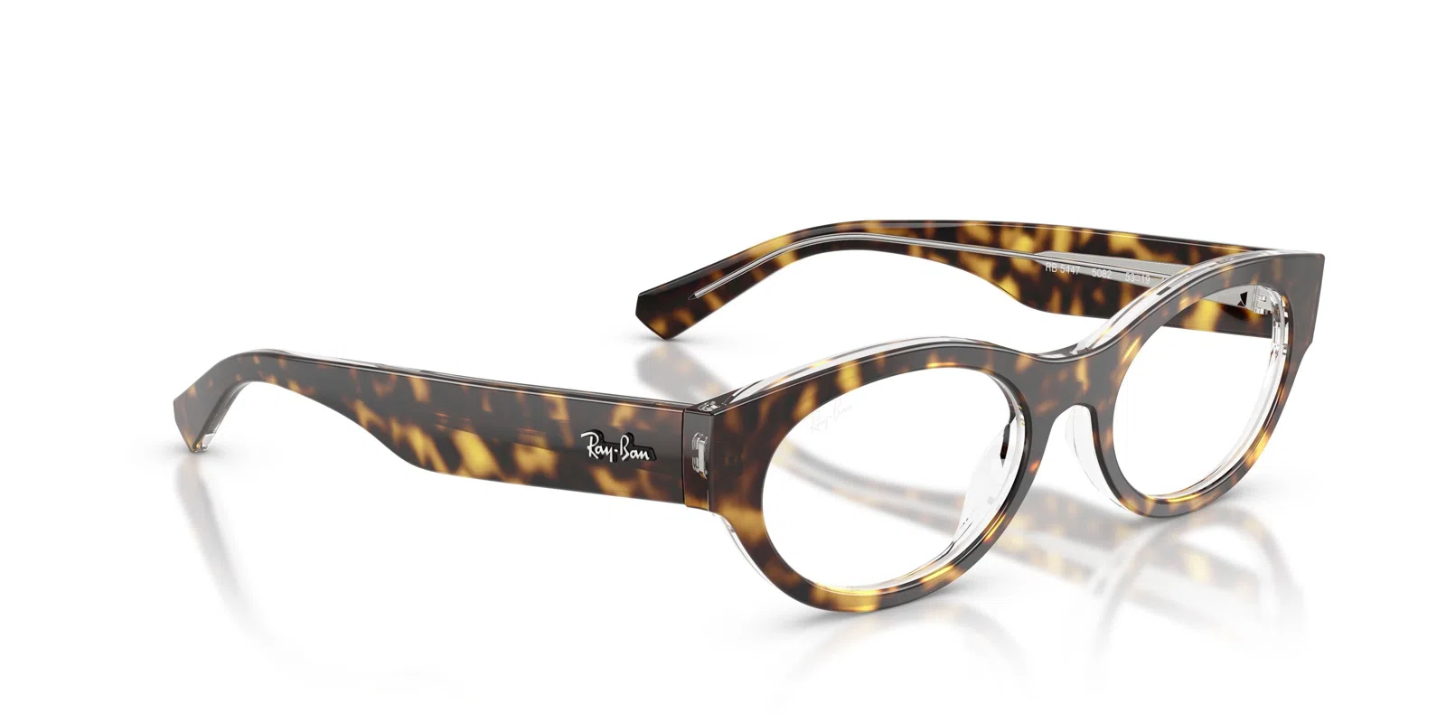 Ray-Ban 5447 Eyeglasses - view 47
